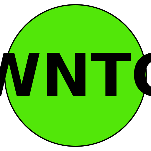 WiseNav Travel Co.